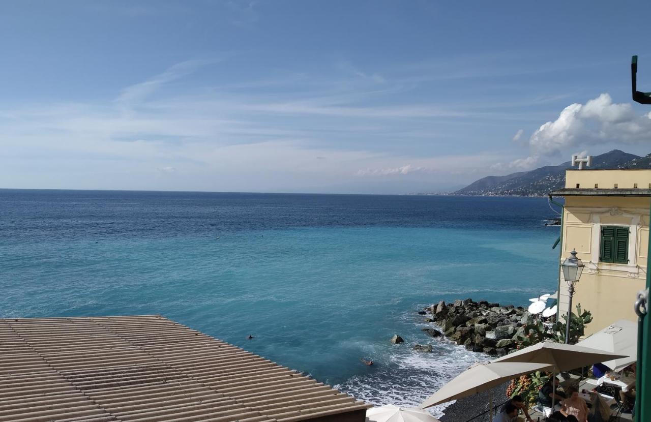 Ferienwohnung Le Finestre Sul Mare Camogli Exterior foto